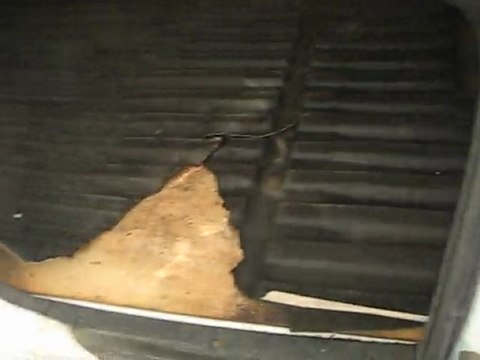 utilitaire peugeot partner