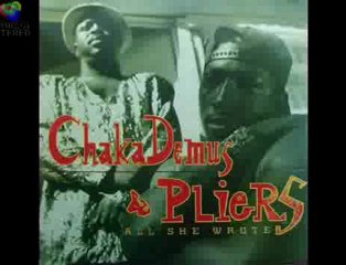 Chaka Demus - The System