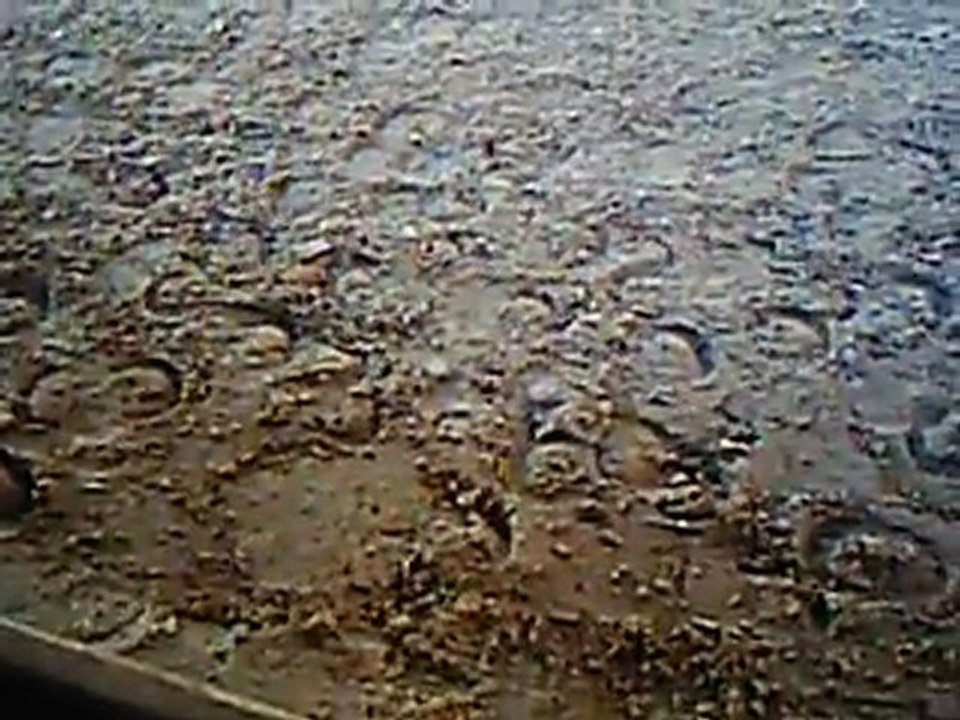 Faldo Et moi Au Muriers