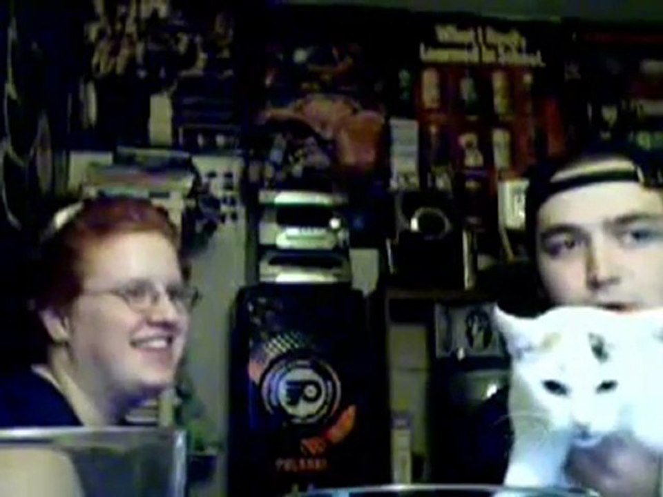 Il gatto non ama la webcam