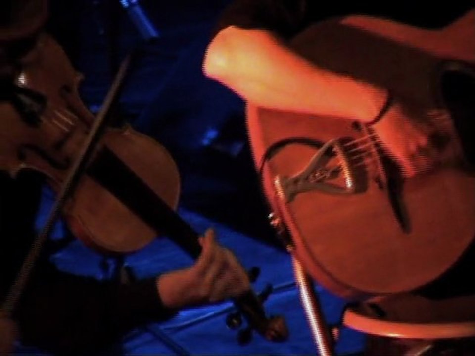 Les Chats Noirs "Le Gros Chat"