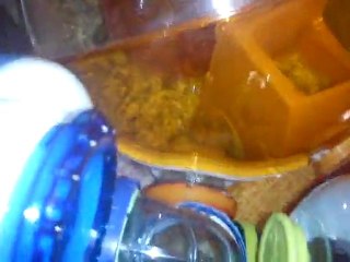 ma famille d'hamster