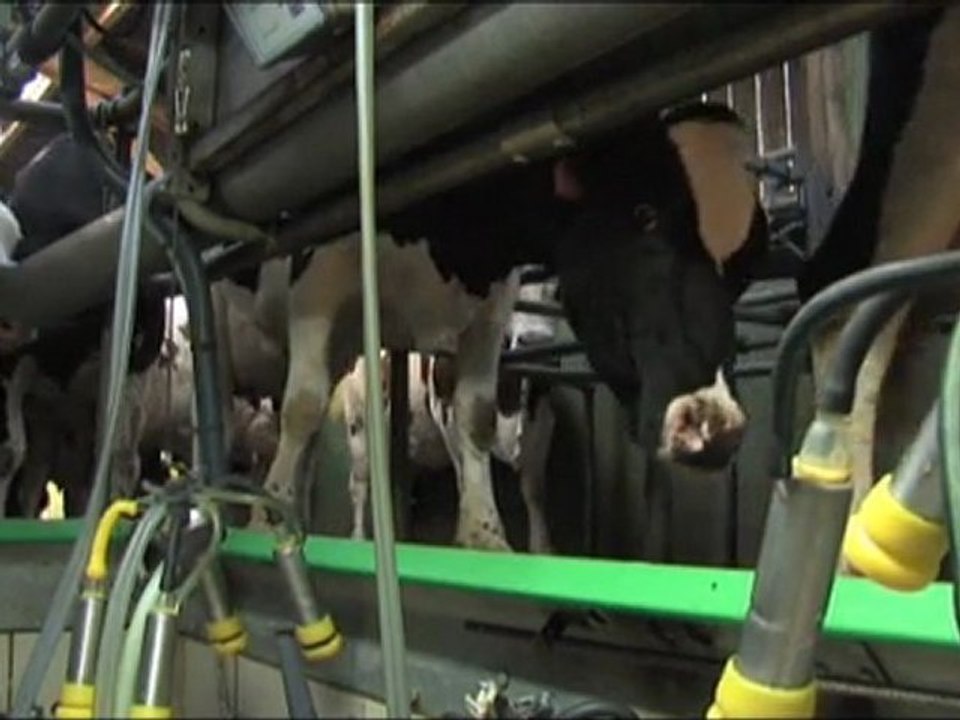 LA FERME DE LA BAZINIÈRE > Eleveurs de vaches laitières