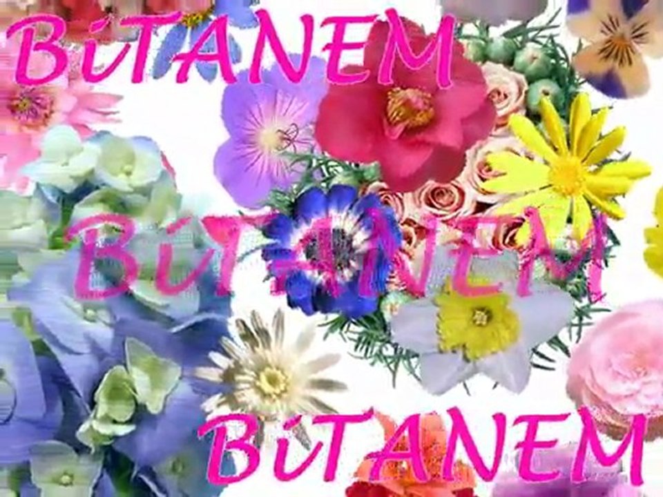 Bitanem !
