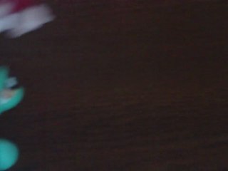 Petshop Bleuet veut convaincre Rougea qu'elle chante bien