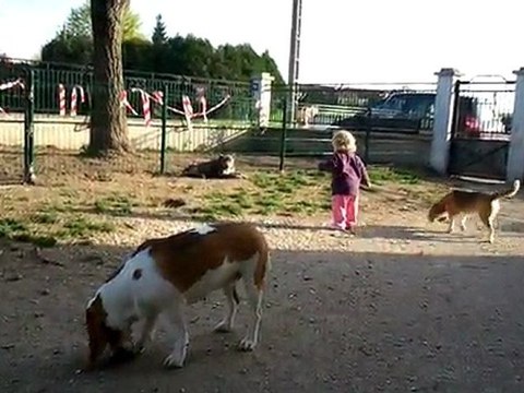 Lisy - premiers pas dehors 06.04.11