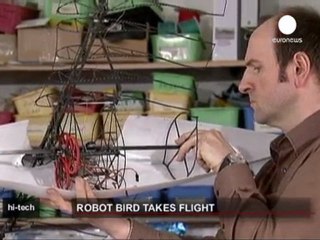 Il gabbiano robot che ci farà risparmiare energia