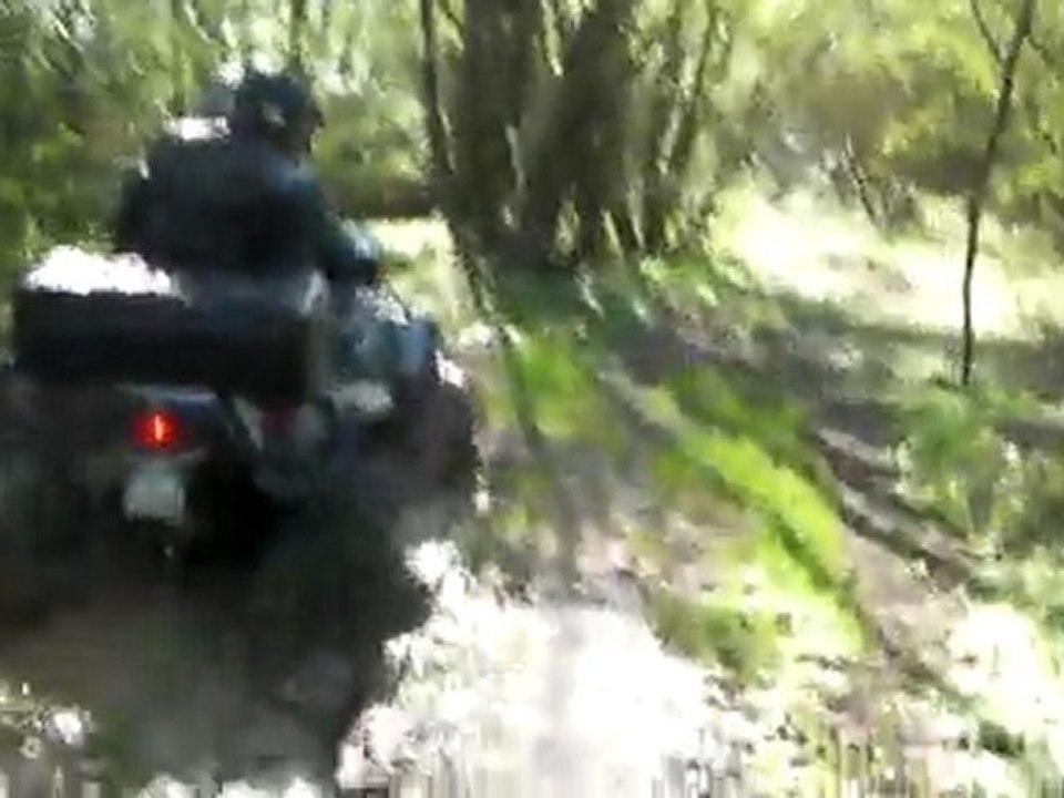 SANY0010