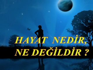 Hayat nedir, ne değildir ?
