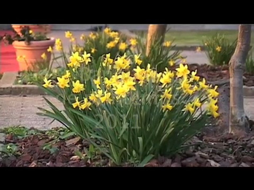 Banquet de printemps 2011 -IND Fleurus