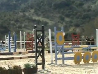 Lonely, Concours aux  Demoiselles