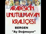 Dj  Bilecikli Özcan Sunumuyla BERGEN -  Ay doğmuyor(isimsizfm)