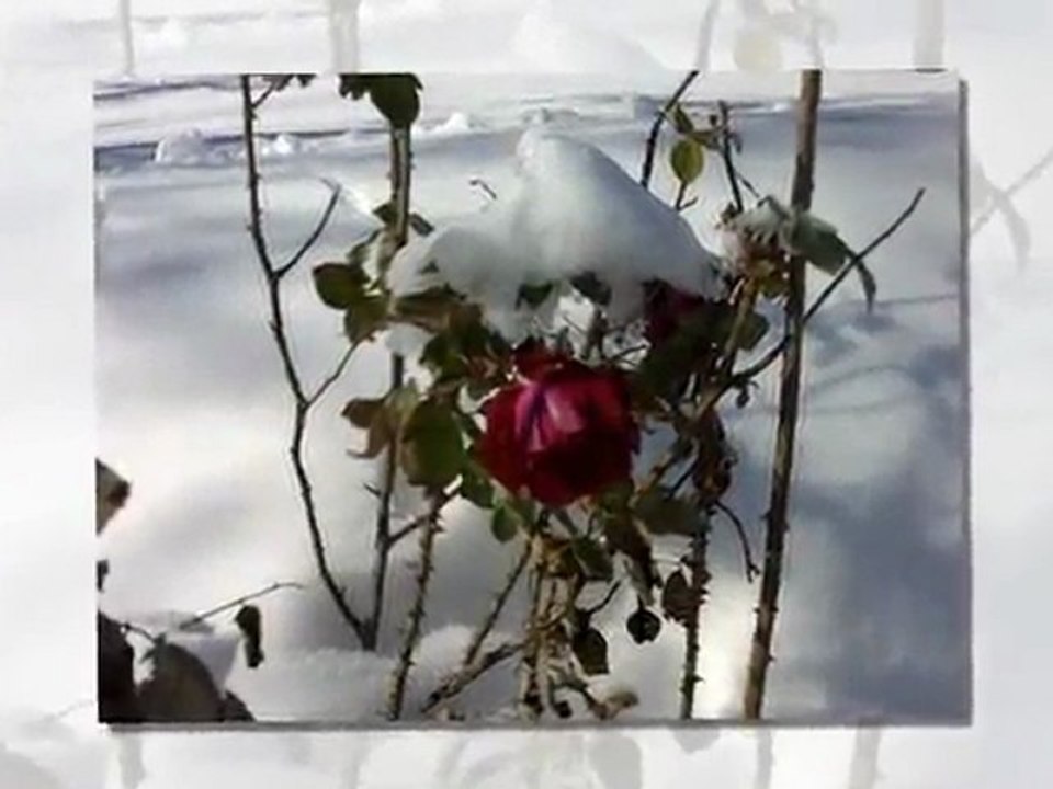 Memleketimden Kış Manzaraları