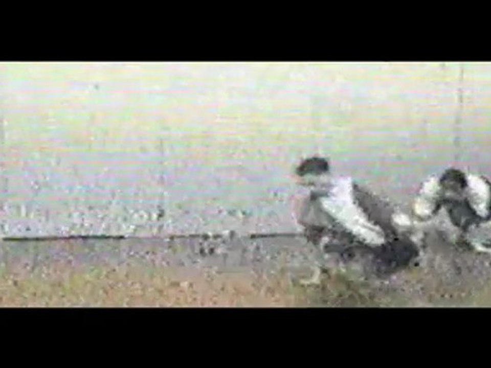 best of Nino.L  1993-1996 trailer 2011 (HD)