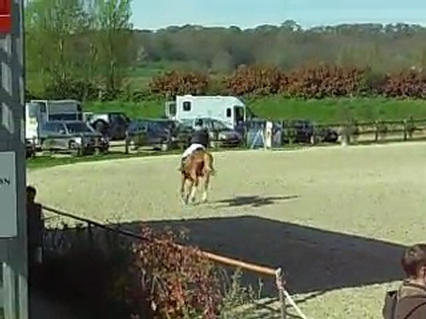 Sibelle CC5ans B