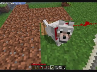 Que faire de vos loups? [what can you do with your wolf?] MINECRAFT