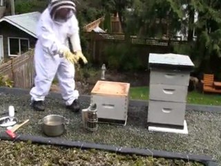 April 6/11 Senga's Vlog Feeding Your Bees in Early Spring