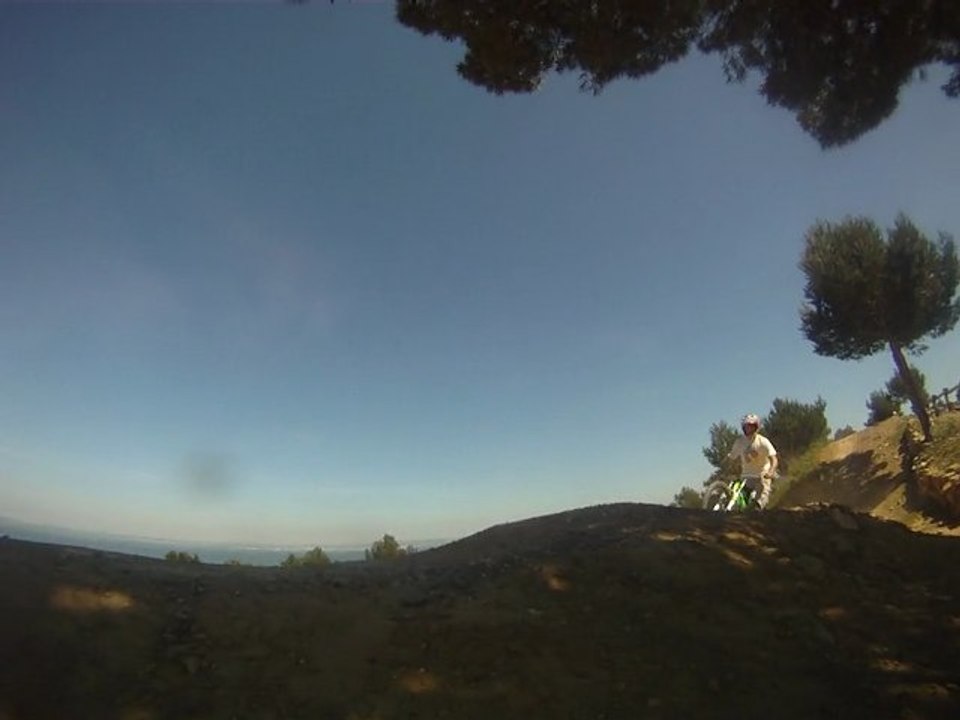 julien whip