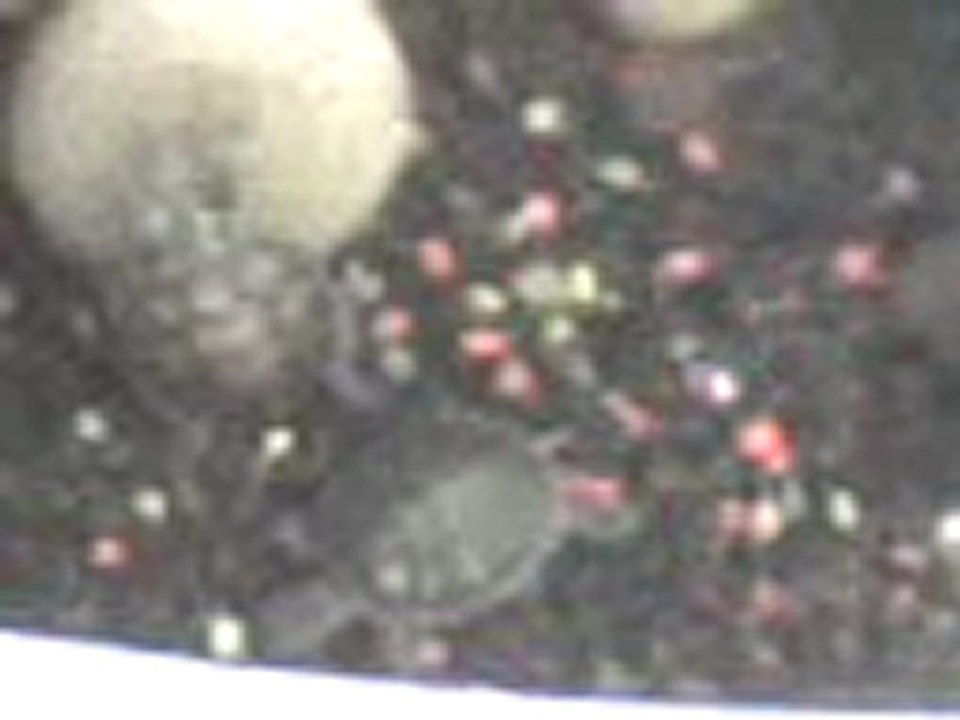 MOV00031