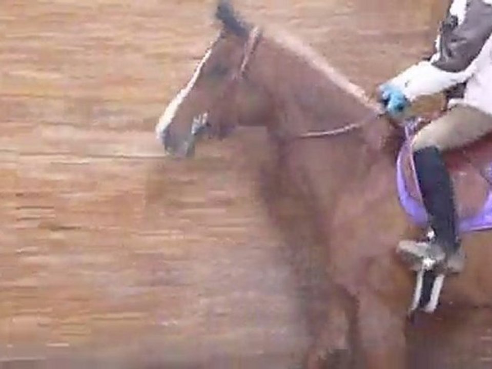 Une cavalière de mon écurie montant ma jument     avril 2011