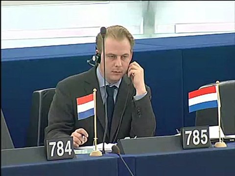 Andrew Duff on Political parties at European level (II)