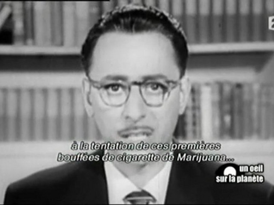Et si on légalisait le cannabis ? 3/6