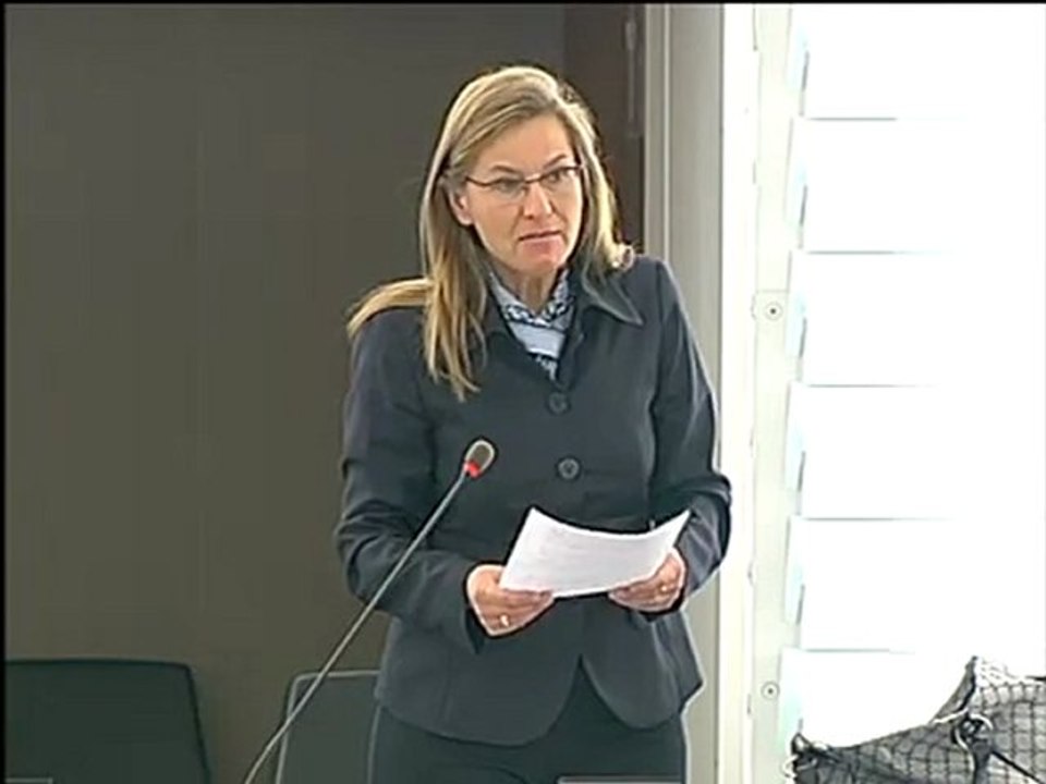 Alexandra Thein on Political parties at European level