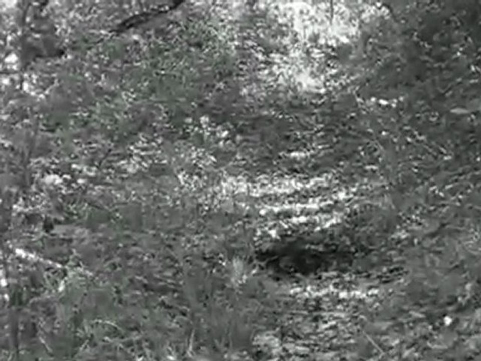 saraswati,re-visited(mix)