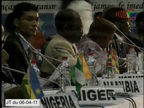 Les ministres de la santé de l'Afrique à Brazzaville