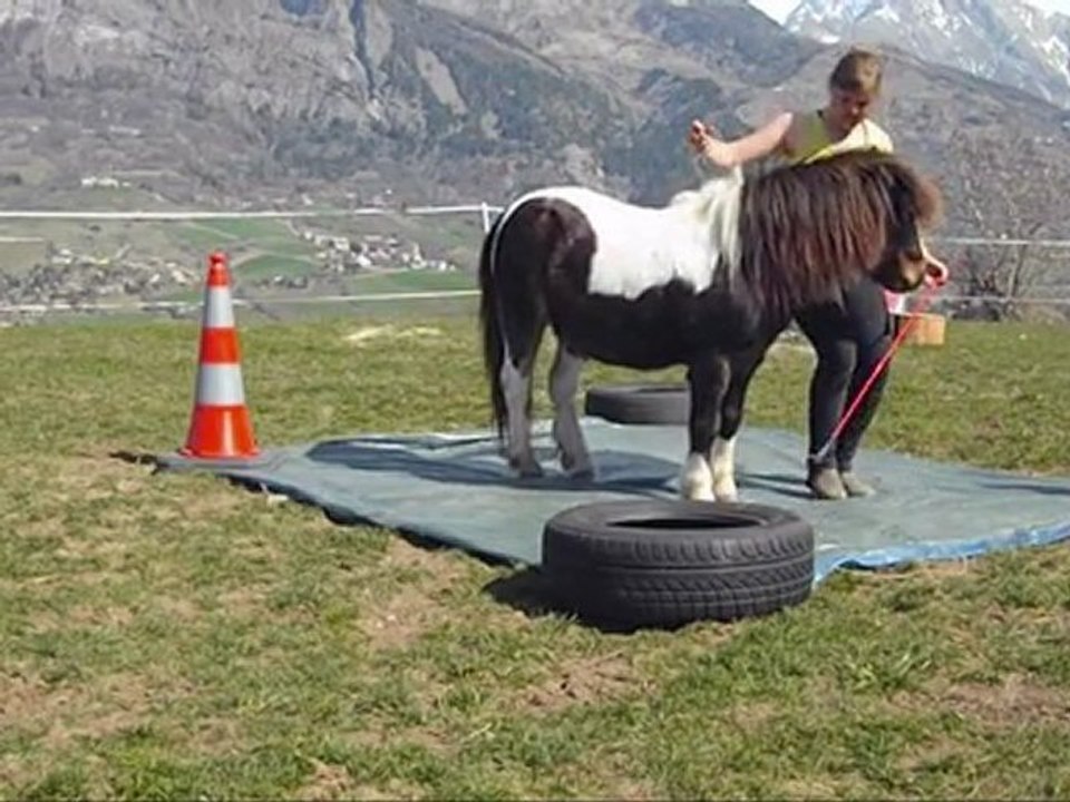 défis n°6: La bache