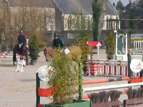 Topaze du laynier / 4ans / Mylord Carthago x Sioux de baugy