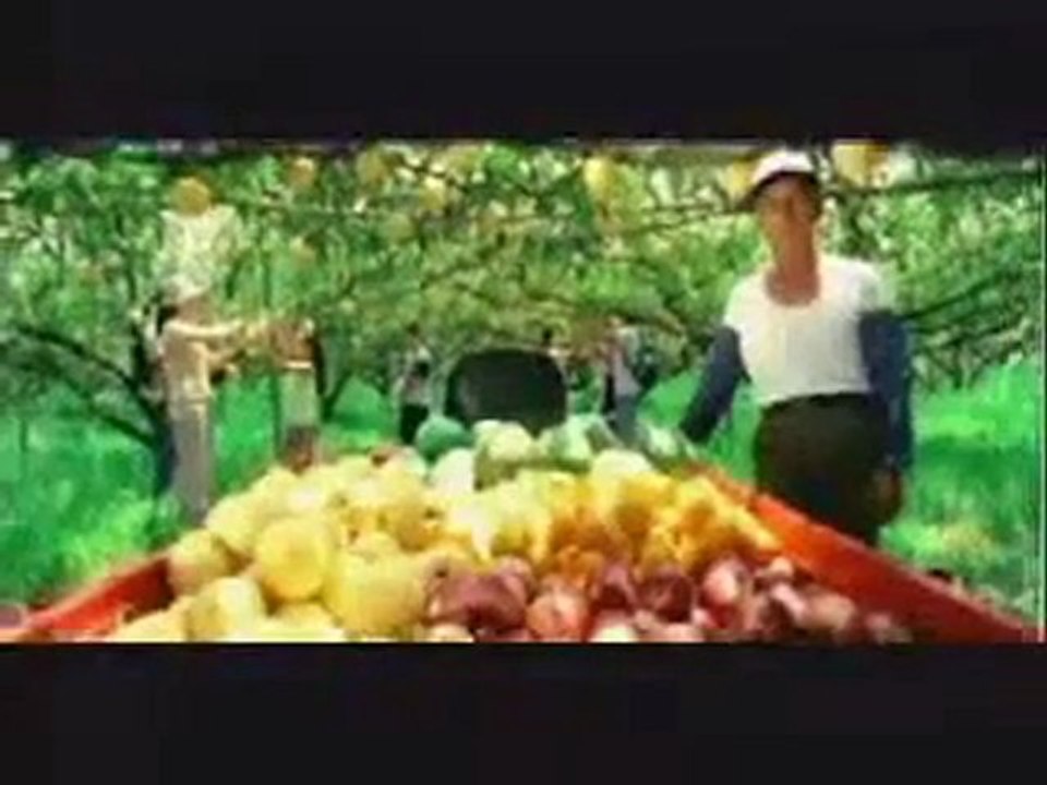 travelersfans, Travel Community Sites, Travel Social Network visit taiwan