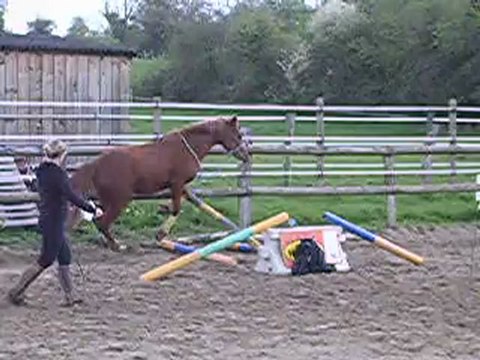 ULLA HOP 1ERE SEANCE