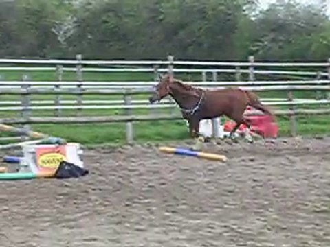 ULLA HOP 1ERE SEANCE