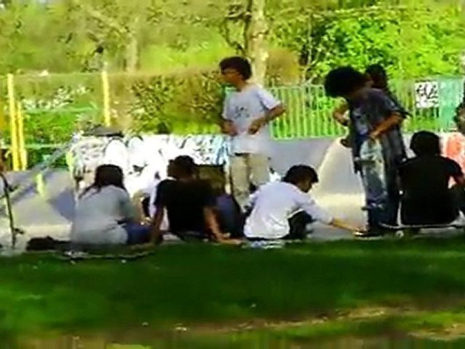 ESSAIS GROSSE BARRE Ferté Skate ( 06 avril 2011 )