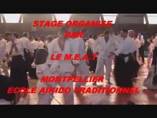 AIKIDO TRADITIONNEL A MONTPELLIER AVEC ALAIN PEYRACHE SHIHAN (juin 2011)