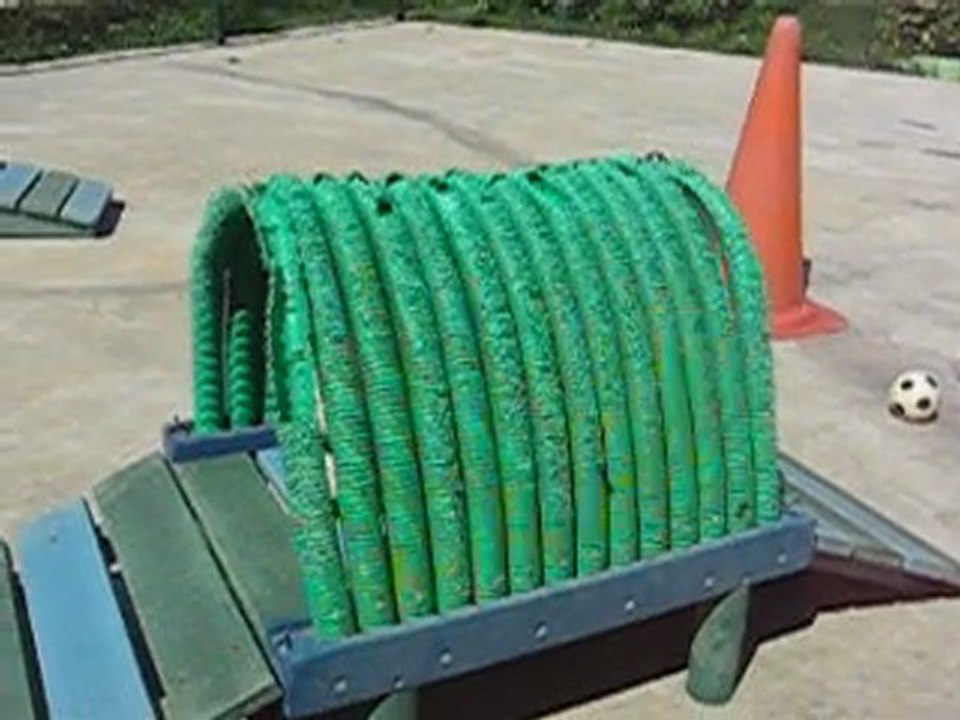 CHIOTS MONTAGNE DES PYRENEES DISPONIBLES DE CARIAD x CONDOR