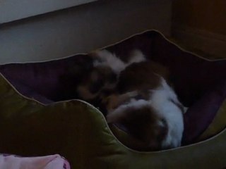 Rhalala même les filles se bagarrent