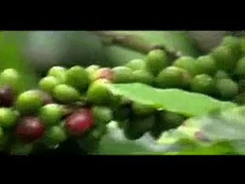 travelersfans, Travel Community Sites, Travel Social Network visit panama