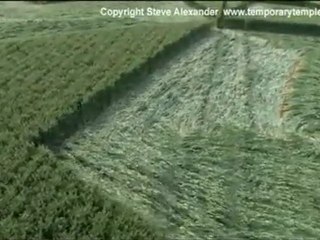 Crop circle Chisbury Ring   3 Juillet 2010
