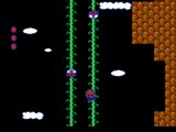 Walkthrough Super Mario Bros. 2 14) Monde 5-2