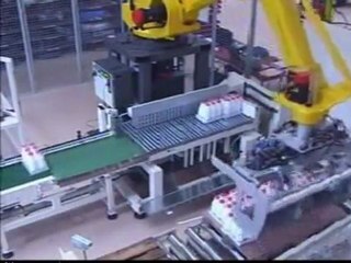 Packer, Schrumpf- und Palettieranlage für Tiefkühlkost