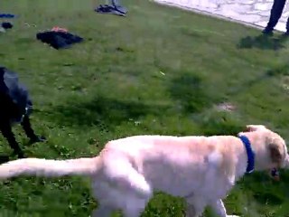 Mathilda till rakı pak ve şerif