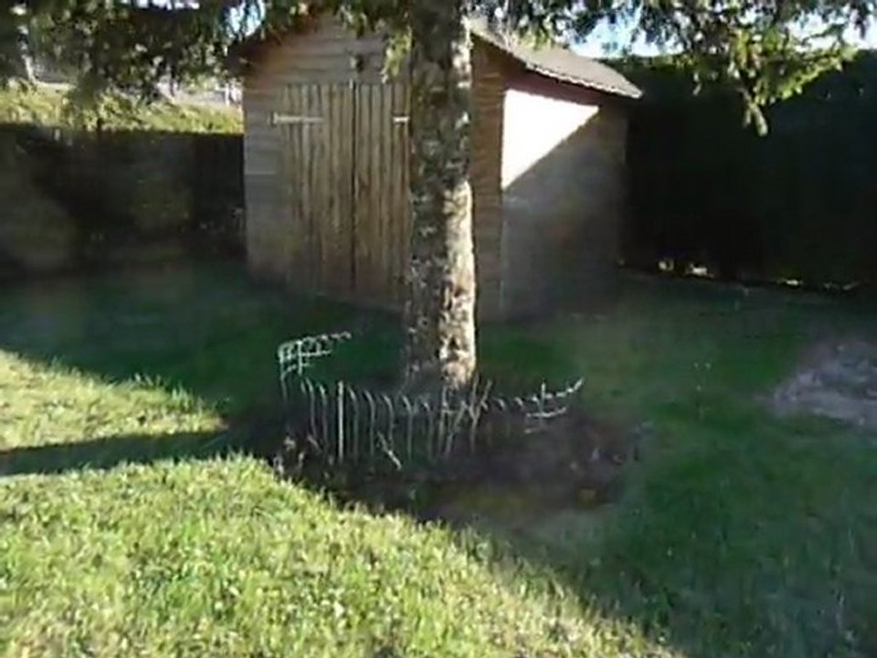 des lutins dans mon jardin (2ans plus tard)