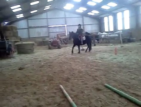 Première monte d'un jeune cheval après travail en longe