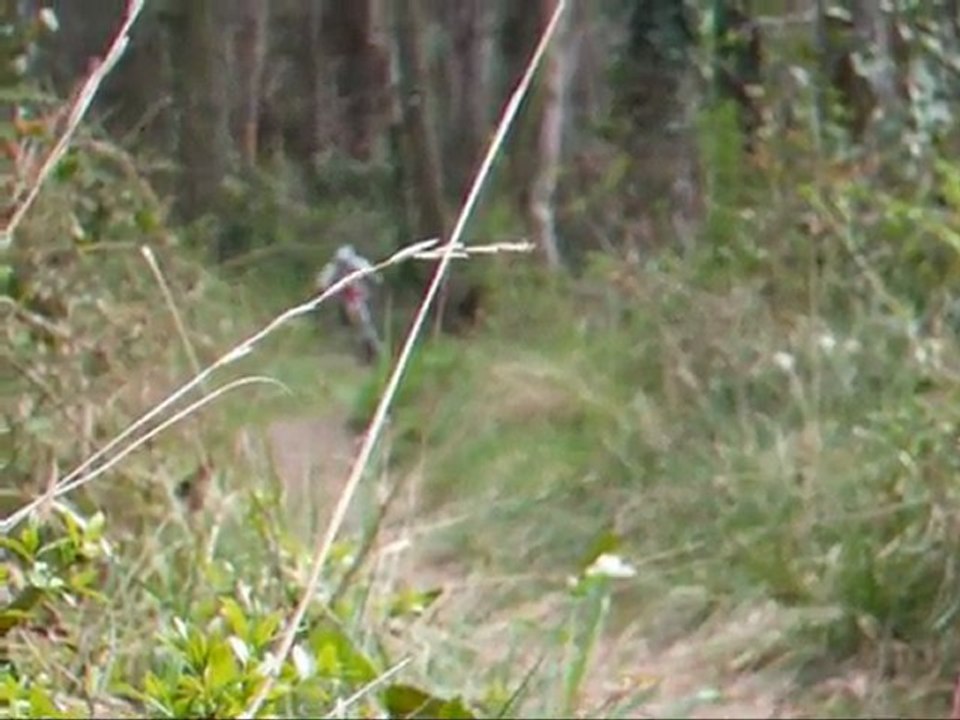 Descente du ball trap (Châteaurenard, le 3 Avril 2011)