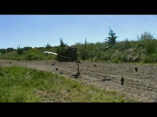 chasse corvidés
