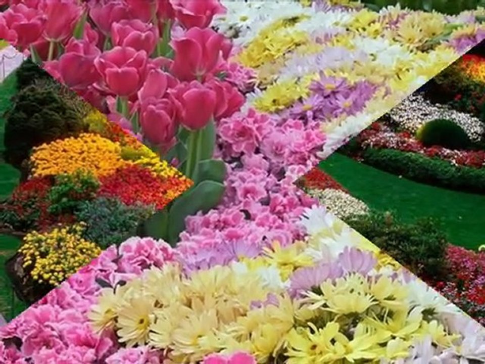 PANGAJO wyk.Frank Ferrari