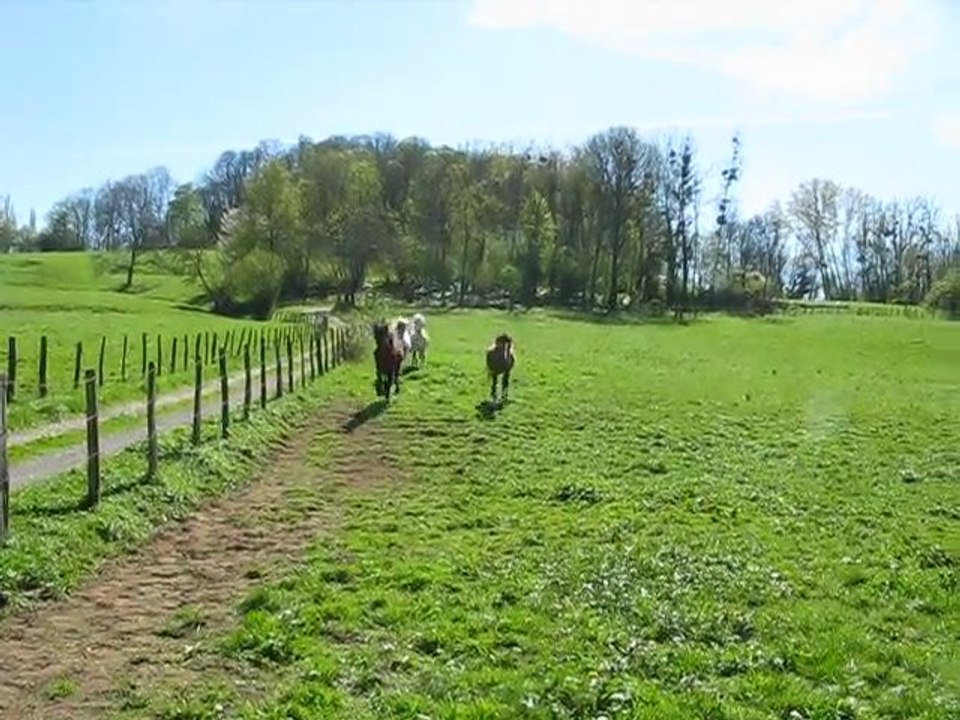 L'arrivée au galop