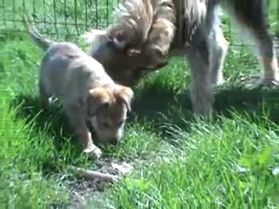 Les bébés en plein air
